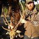 Weekend Hunts in Kimble County near Junction/Roosevelt