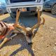 Trans Pecos  Mule Deer and White Tail deer lease  30000 acres