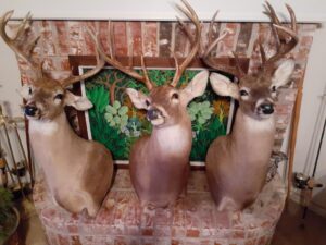 Hill County Gamekeepers