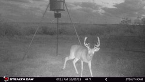 Package Hunts