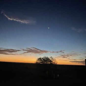 Whitetail Deer Lease in Starr County