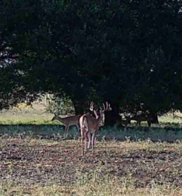 Thumbnail for the listing's main image