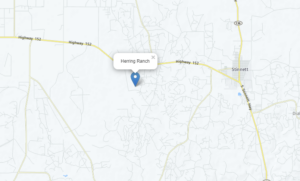 Hunting Leases Available on the Herring Ranch in Hutchinson County, near Stinnett, Texas