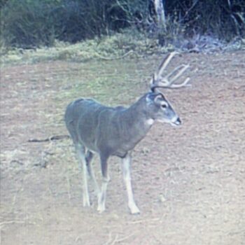 3 Day Weekend Hunt