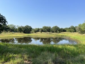 600+- Acres Year Round Hunting in Llano