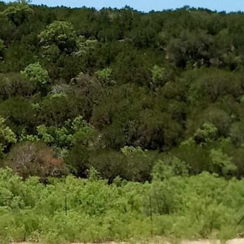 Coronado ranch