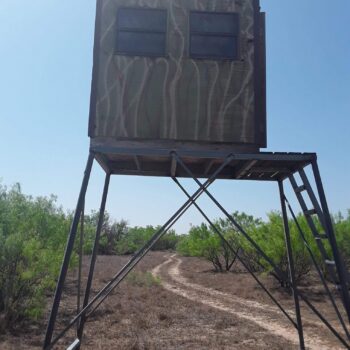 Remote Ranch