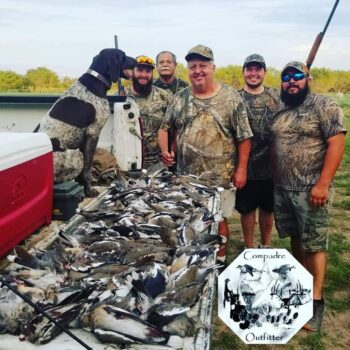 3 Dove Leases