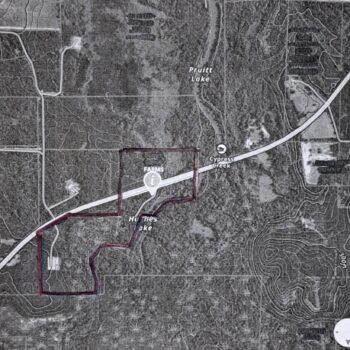 113 acres near Avinger