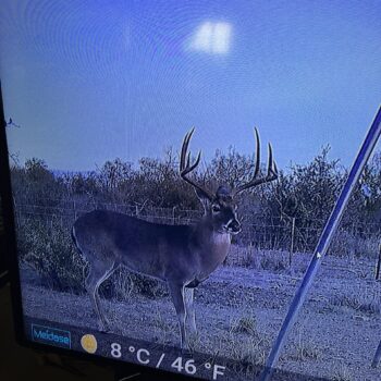 3166 acre Northern Maverick County Trophy Lease