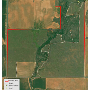 500 Acres in Collingsworth County, TX
