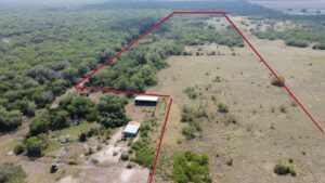 Beeville, TX Area - Deer Hunting Fifteen Day Lease