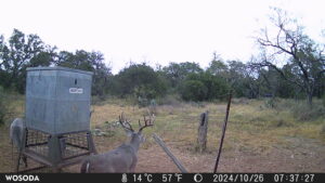 200 acres in Llano County