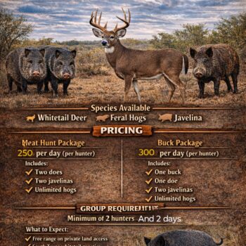 Javier's Hunts