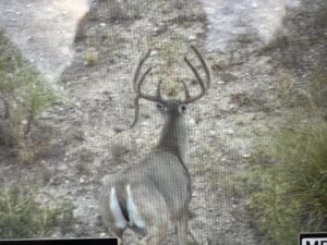 15000 acres MLD