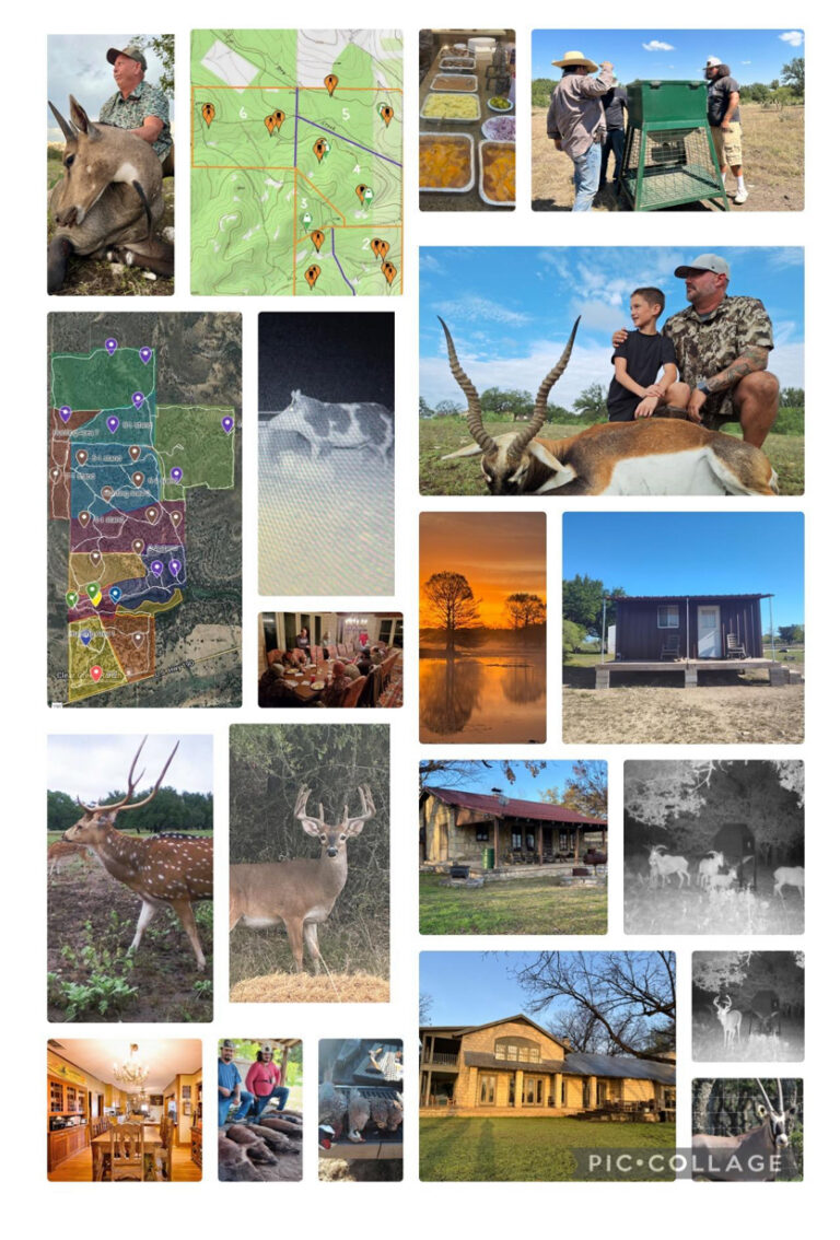 Thumbnail for the listing's main image