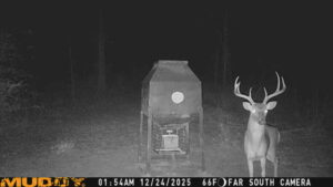 Walker County 380 acres Deer Lease