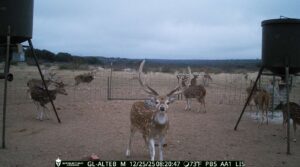 3,400 Acre Deer Lease