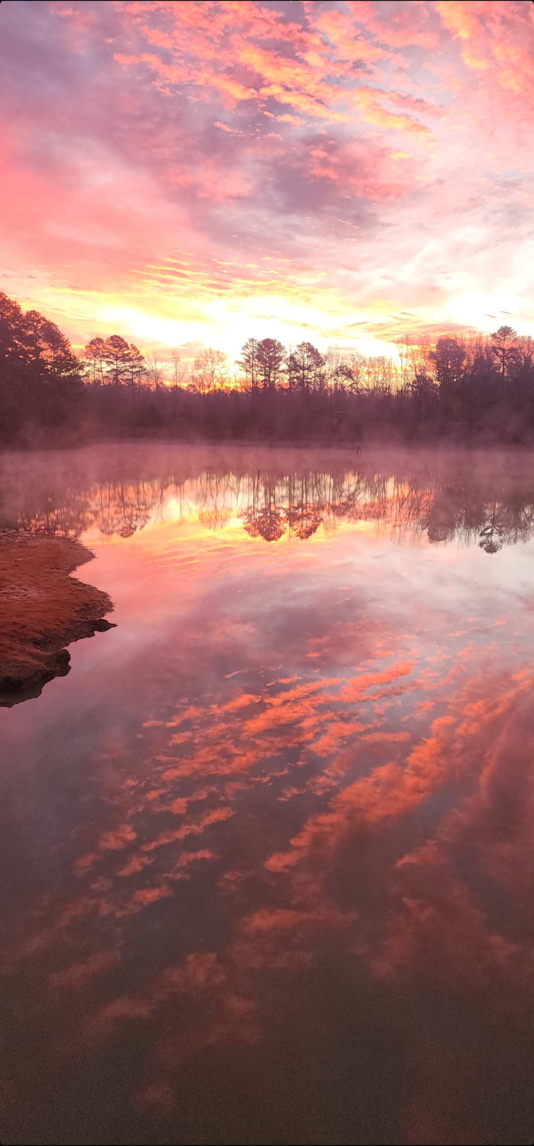 East Texas Hunting Lease Located North of Tyler near Mineola and Hawkins in Wood County