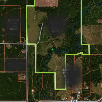 459 acres north of Cass, Texas