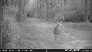 Honey Island Hunting Club