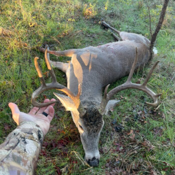 Private Family Owned Ranch! Whitetail, Hogs, Turkey, Small Game