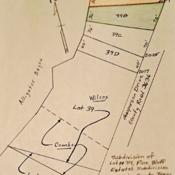 Caddo Lake - 2 Primitive Lots - $1500 each